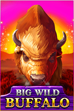 Buffalo - online slot game from BELATRA GAMES
